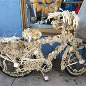 Tarpon Springs Sponge Docks