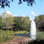 Largo Central Park