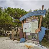 Weedon Island Preserve