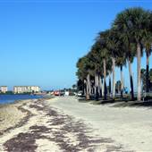 Dunedin Causeway