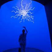 Chihuly Collection