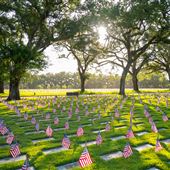 Bay Pines National Cemetery