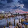 Dunedin Marina