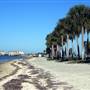 Dunedin Causeway