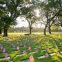 Bay Pines National Cemetery