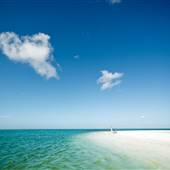 Honeymoon Island