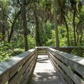Abercrombie Park