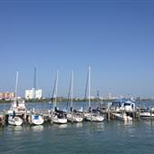 Clearwater Beach Marina