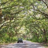 Safety Harbor