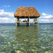 Dutchman Key, Anclote Key