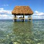 Dutchman Key, Anclote Key