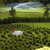 Innisbrook Resort