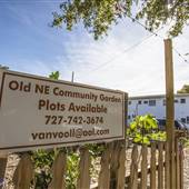 Old Northeast Community Garden