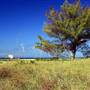 Fort DeSoto Park - North Beach