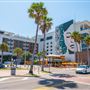The Hiatus Clearwater Beach