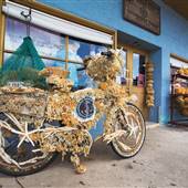 Tarpon Springs
