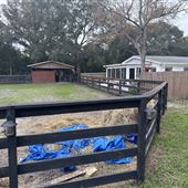 Freedom Farm