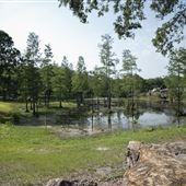 Loyd Tingler Park