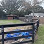 Freedom Farm