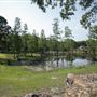 Loyd Tingler Park