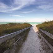 Indian Shores