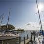 Safety Harbor Marina & Pier