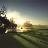Innisbrook Golf