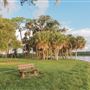 AL Anderson Park