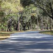 John Chesnut Sr. Park