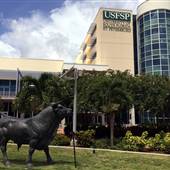 USFSP University Student Center