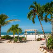 Upham Beach Secret Garden