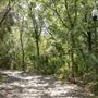 Helen S. Howarth Community Park