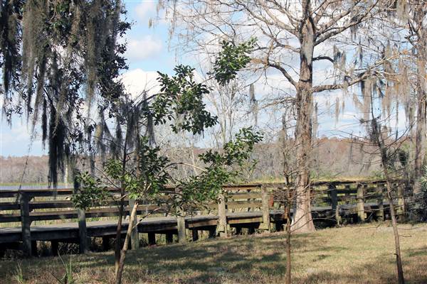 John Chesnut Sr. Park