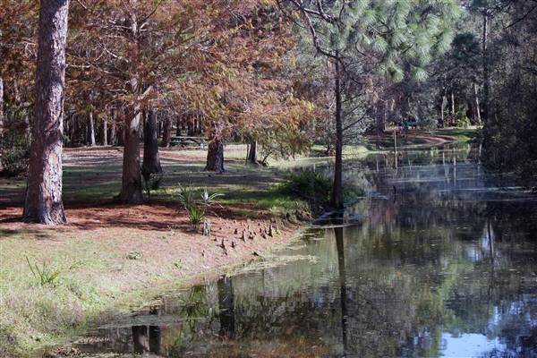 John Chesnut Sr. Park