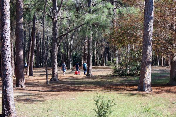 John Chesnut Sr. Park