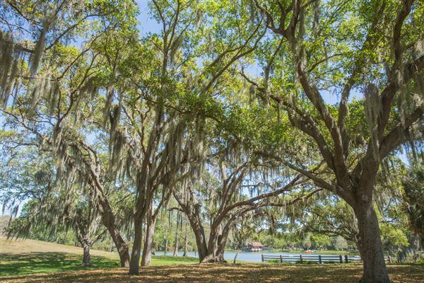 Lake Seminole Park