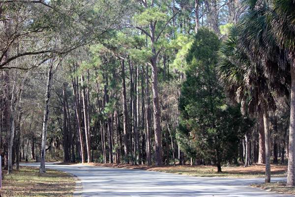 John Chesnut Sr. Park