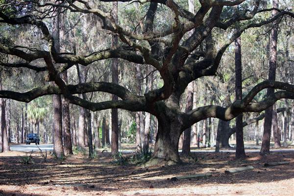 John Chesnut Sr. Park